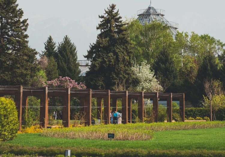 Алматының ботаникалық бағы уақытша жабылады