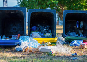 Миллионы за мусор: в Конаеве усилили контроль за чистотой