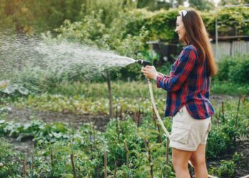 Власти Қонаева призвали жителей поливать огороды только ночью