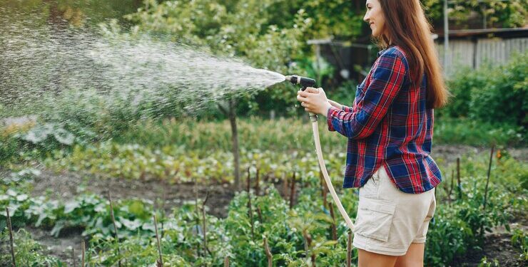 Власти Қонаева призвали жителей поливать огороды только ночью