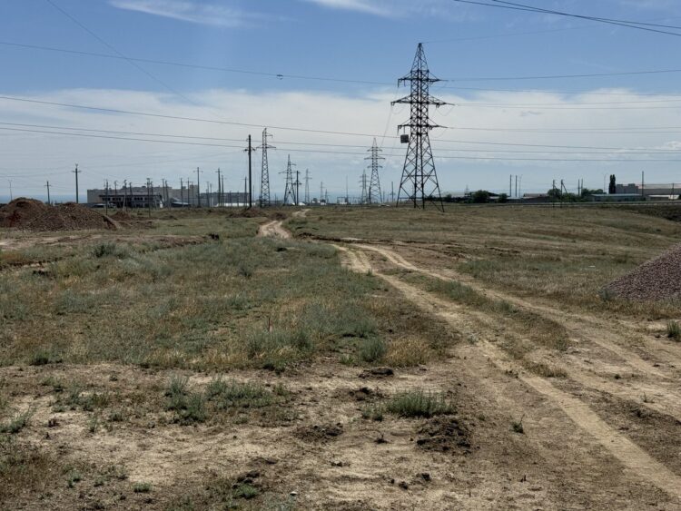 В Конаеве выявлено 14,3 тысячи гектаров неиспользуемых земель