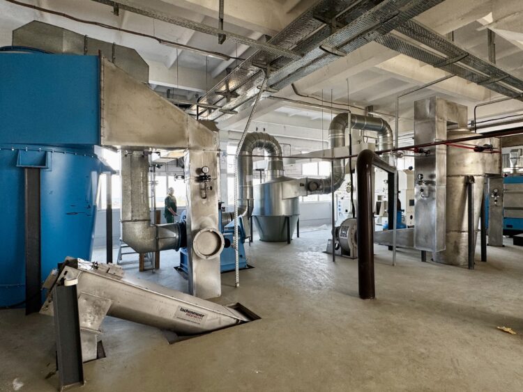 В Конаеве модернизируют элеватор: появятся три завода и сотни рабочих мест