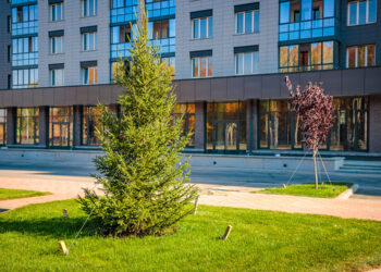 Қонаев қаласында «Таза аула» конкурсы өтіп жатыр