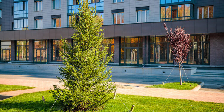 Қонаев қаласында «Таза аула» конкурсы өтіп жатыр