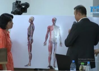 Сарапшы: “Шерзаттың жарасы — әдейі күшпен салынған соққы”