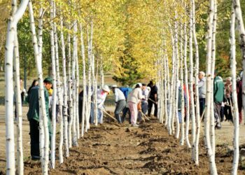 Субботник на Северном побережье: собрано 95 мешков мусора