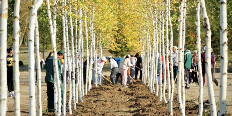 Субботник на Северном побережье: собрано 95 мешков мусора