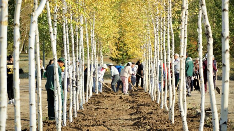 Субботник на Северном побережье: собрано 95 мешков мусора