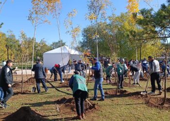 Солтүстік жағалауда сенбілік өтті: 95 қап қоқыс жиналды