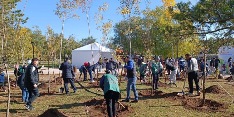 Солтүстік жағалауда сенбілік өтті: 95 қап қоқыс жиналды