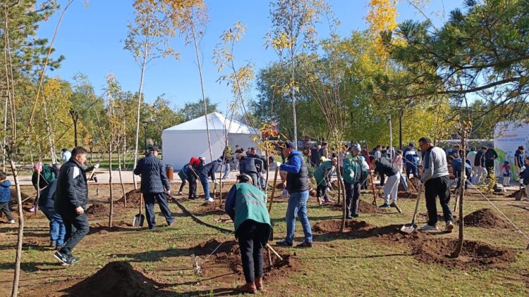 Солтүстік жағалауда сенбілік өтті: 95 қап қоқыс жиналды