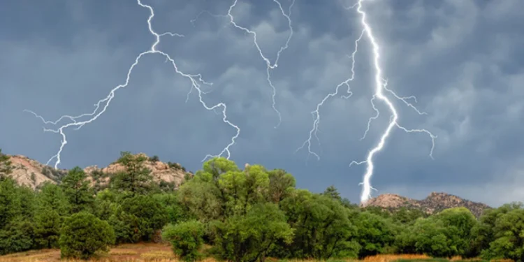 Ақмолада найзағай соғып, әке мен бала қаза тапты