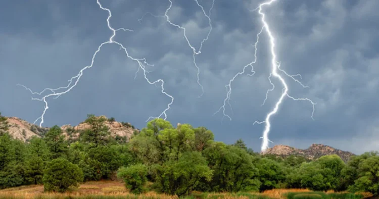 Ақмолада найзағай соғып, әке мен бала қаза тапты