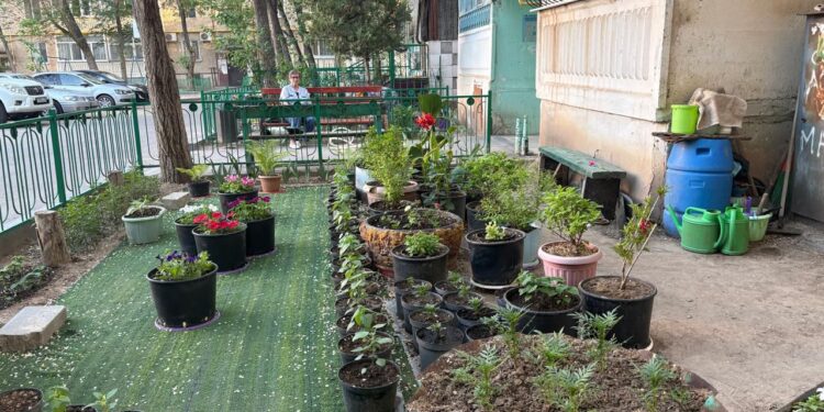 «Таза аула» конкурсының жеңімпаздары анықталды