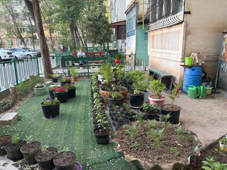 «Таза аула» конкурсының жеңімпаздары анықталды