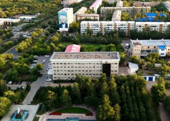 Қонаевта көгалдандыру жұмыстары жалғасуда