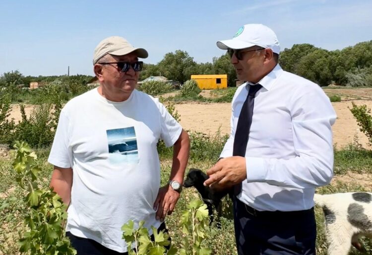 Аким Конаева: Поддержка фермеров — приоритет для устойчивого развития