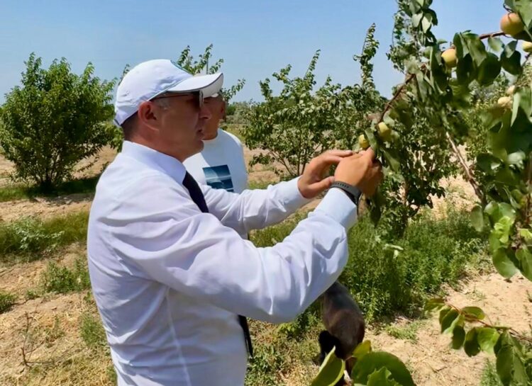 Асхат Бердіханов: Шаруаларға қолдау – ауылдың дамуы