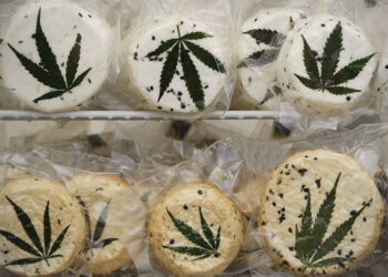 Сыр с наркотиками: в Алматы вынесли приговор по делу о контрабанде