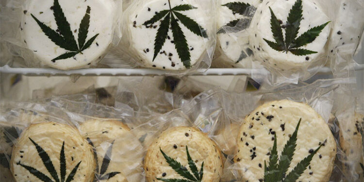 Сыр с наркотиками: в Алматы вынесли приговор по делу о контрабанде