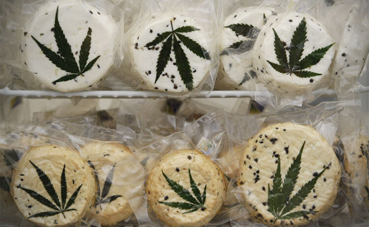 Сыр с наркотиками: в Алматы вынесли приговор по делу о контрабанде