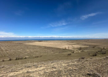 Казахстан вернул 11 миллионов гектаров земли