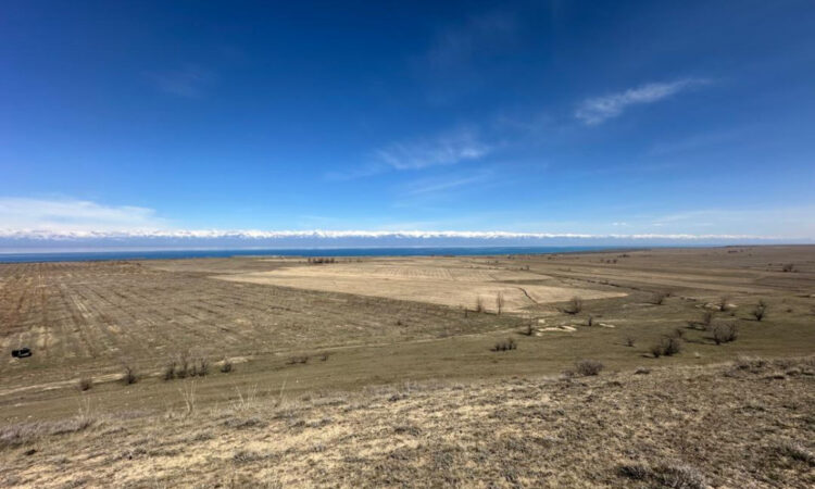 Казахстан вернул 11 миллионов гектаров земли