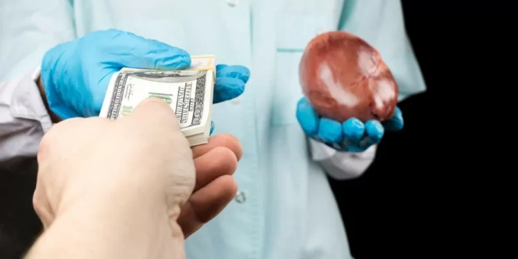 В Павлодаре полиция пресекла попытку продажи человеческого органа