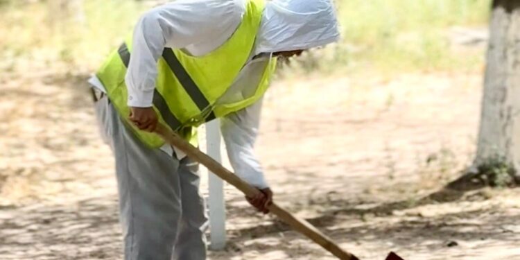 В Конаеве стартовала генеральная уборка дворов
