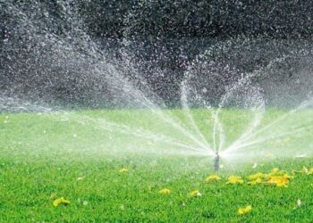 Жасыл желектер түнгі ауысымда суарылып жатыр