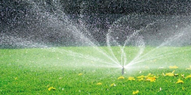 Жасыл желектер түнгі ауысымда суарылып жатыр