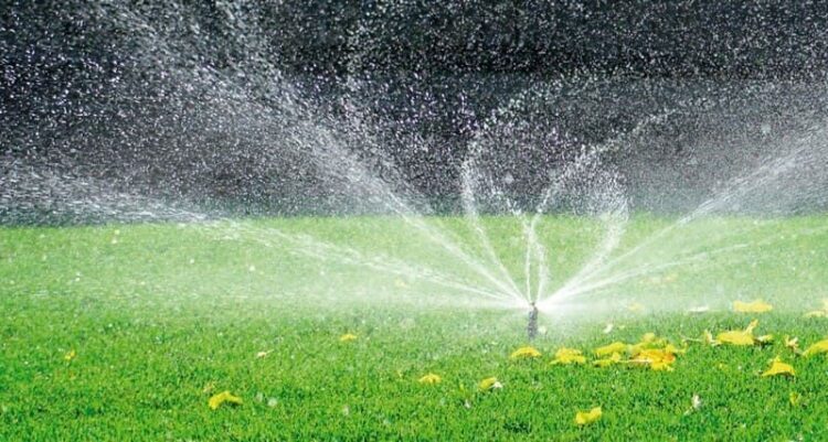 Жасыл желектер түнгі ауысымда суарылып жатыр