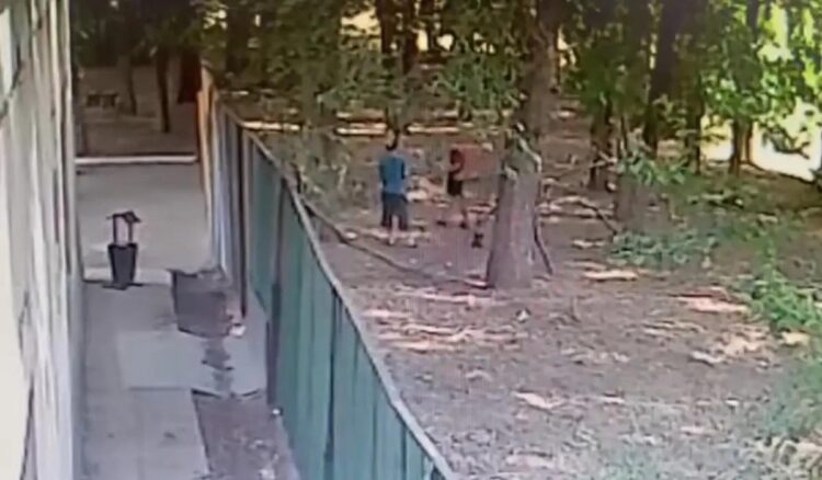 На 10-летнего мальчика напали собаки: опубликовано видео с места происшествия