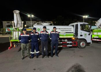 В Конаеве проводится обработка зелёных насаждений от вредителей