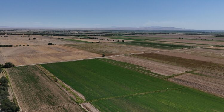 2500 гектар егістікті сумен қамтып отырмыз – гидротехник