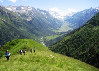 Казахстанка заявила о незаконном сборе денег в Иле-Алатауском нацпарке: сотрудника уволили