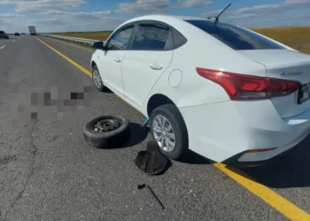 MAN наехал на людей, меняющих колесо, — пострадавшие в тяжелом состоянии