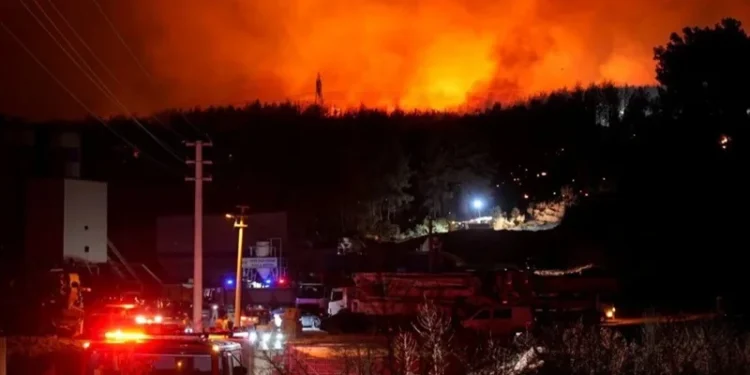Лесные пожары в Турции: один человек погиб, сотни эвакуированы
