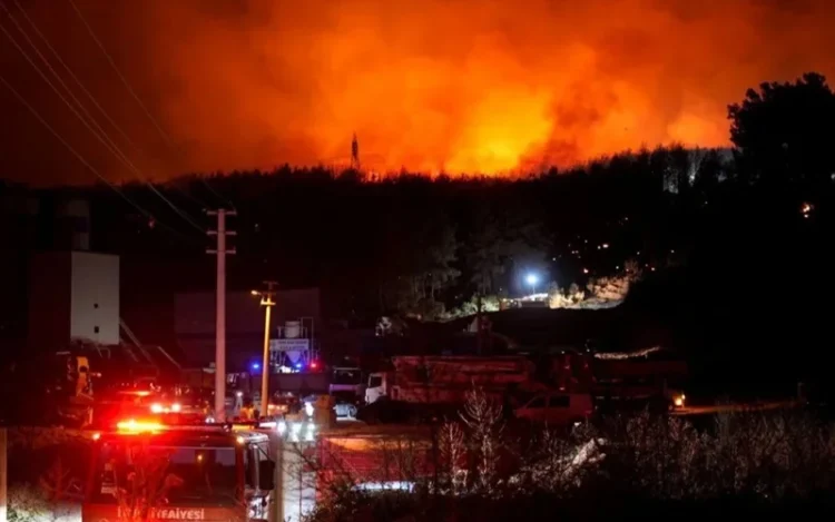 Лесные пожары в Турции: один человек погиб, сотни эвакуированы