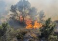 Франция охвачена крупнейшим лесным пожаром за 76 лет
