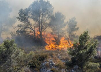 Франция охвачена крупнейшим лесным пожаром за 76 лет