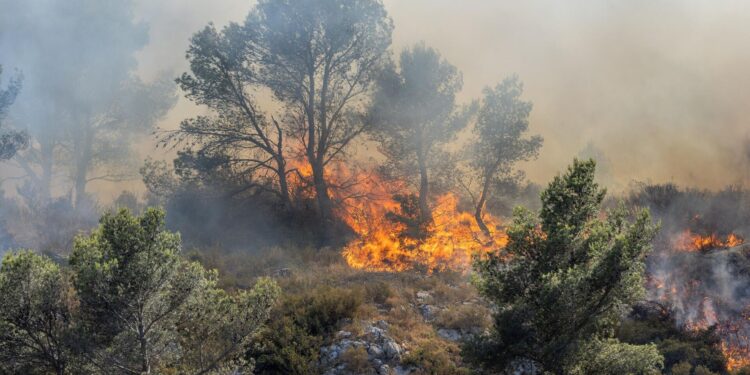 Франция охвачена крупнейшим лесным пожаром за 76 лет