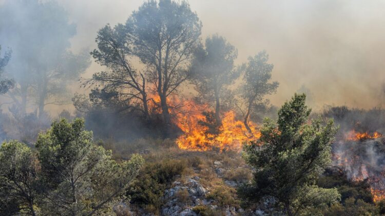 Франция охвачена крупнейшим лесным пожаром за 76 лет