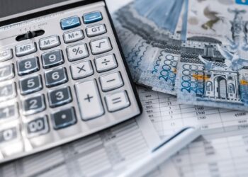 Алматы облысы ішкі мемлекеттік аудит департаменті: бюджетке 233,1 мың теңге қайтарылды