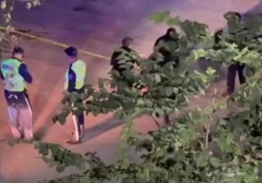 Трагедия в Таразе: школьника убили в драке в День знаний