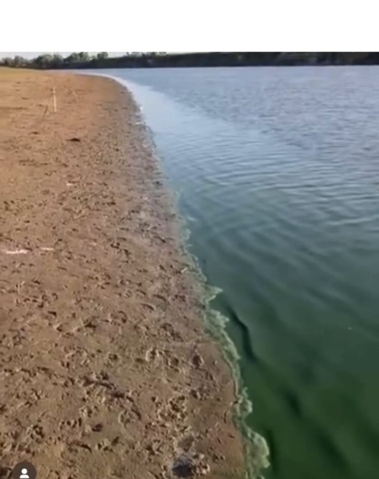 Жайық өзенінің бір бөлігі жасыл түске боялды: экология департаменті түсініктеме берді