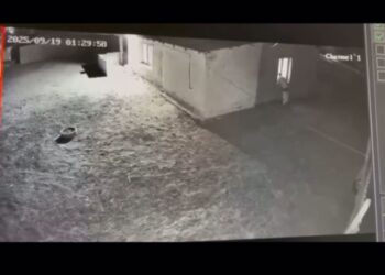 Атырауда ер адам «сталкинг» бабымен сотталуы мүмкін