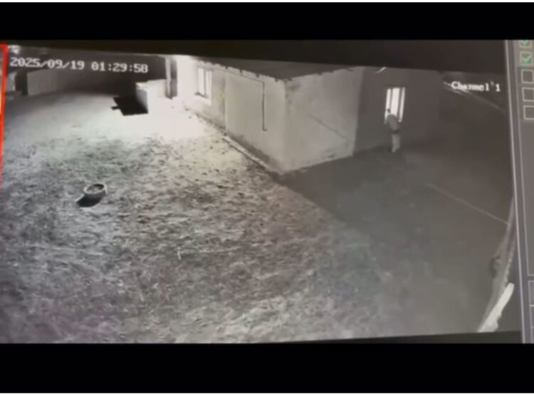 Атырауда ер адам «сталкинг» бабымен сотталуы мүмкін