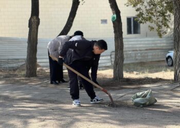 Қонаевта жалпықалалық сенбілік өтті