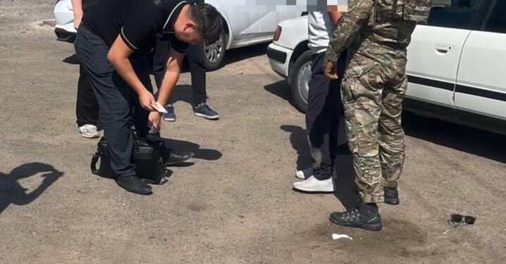 Жетісуда ірі есірткі қылмысы әшкереленді: 10 килограмнан астам марихуана тәркіленді